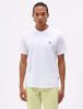 Mapleton T-Shirt - Dickies - White
