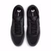 PS8 - Nike SB - Black/Clear