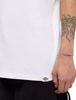 Atkin Chest Tee - Dickies - White/Green