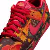 Wizard Of Oz X Nike SB Dunk Low Pro QS - Red/Multi