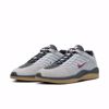 Vertebrae - Nike SB - Smoke Grey/Dark Red