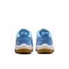 Vertebrae - Nike SB - University Blue