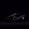 Limosine Skateboards Dunk Low Pro - Nike SB - D.P.